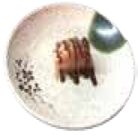 Nigiri Salmó flamejat