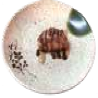 Nigiri Tonyina flamejat