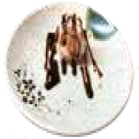 Uramaki Tempura llgosti formatge alvocat